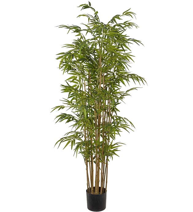 7322-180 - Bambu 180 cm