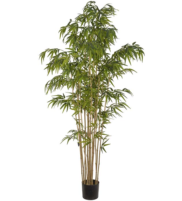 7322-210 - Bambu 210 cm