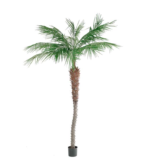 7390-210 - Phoenix Palm 210 cm