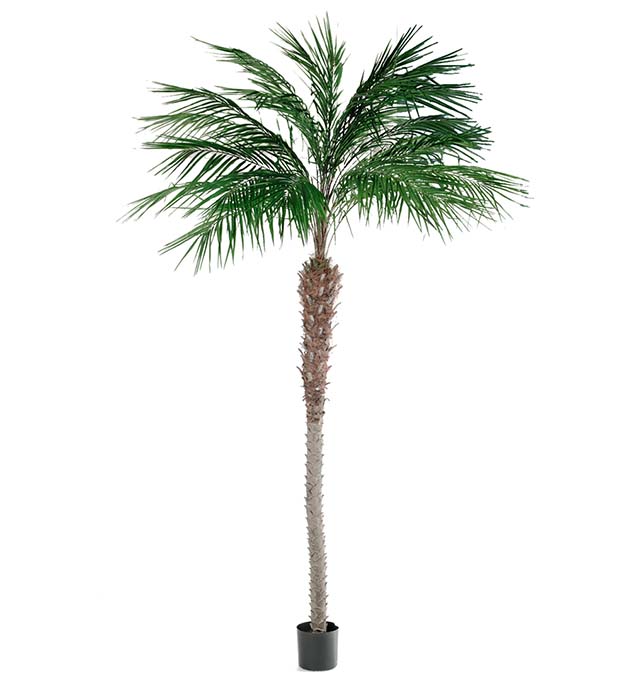 7390-300 - Phoenix Palm 300 cm
