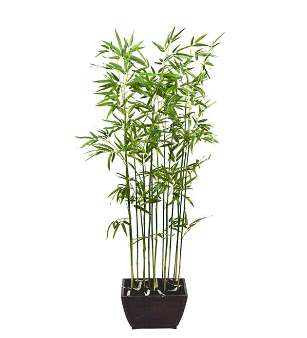 7456-160 - Bambu 160 cm