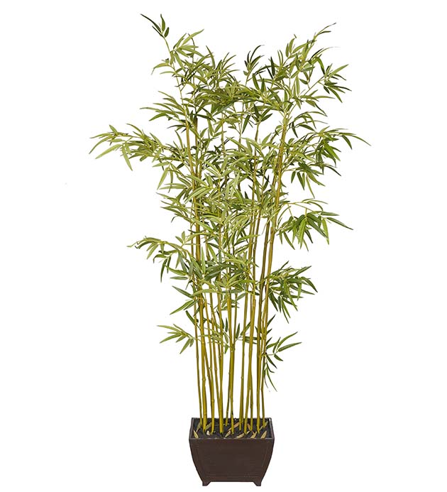 7456-190 - Bambu 190 cm