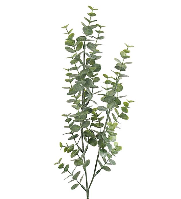 7568-90 - Eucalyptus 74 cm