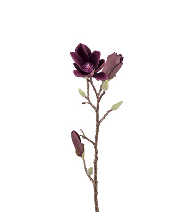 9147-85 - Magnolia 50 cm