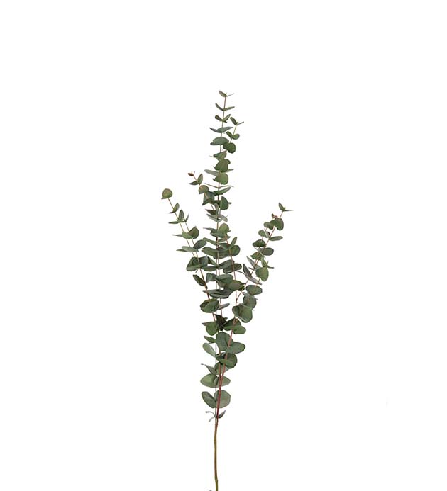 9202-95 - Eucalyptus 120 cm