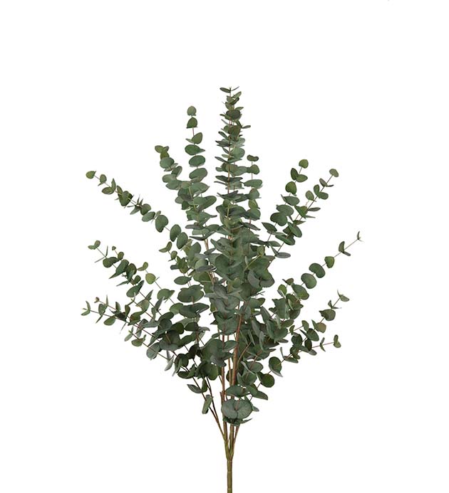 9203-95 - Eucalyptus 120 cm