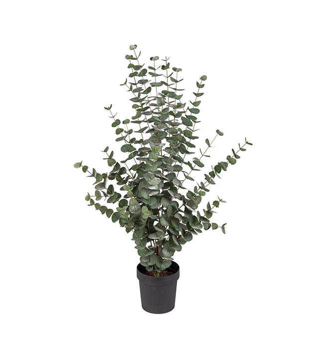 9204-110 - Eucalyptus 110 cm