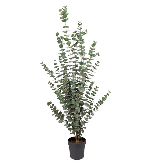 9204-170 - Eucalyptus 170 cm