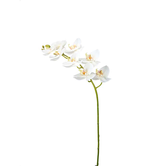 9318-10 - Phalaenopsis 95 cm