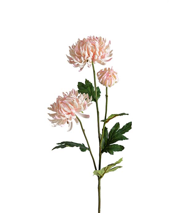 9430-20 - Chrysanthemum