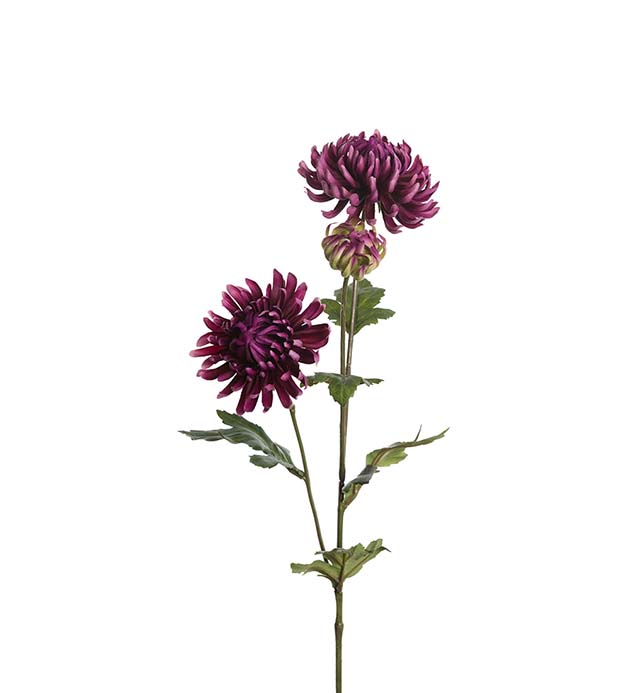 9430-40 - Chrysanthemum 60 cm