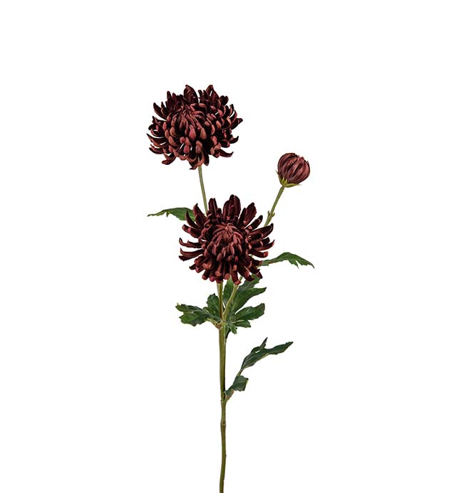 9430-70 - Chrysanthemum 60 cm
