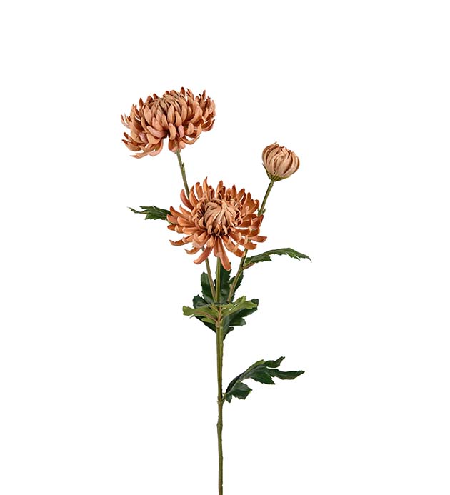 9430-71 - Chrysanthemum 60 cm