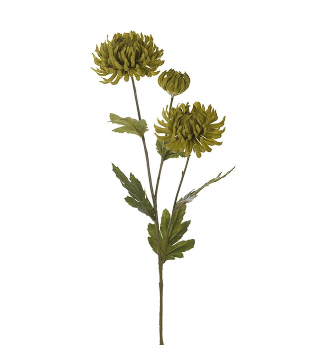 9430-90 - Chrysanthemum