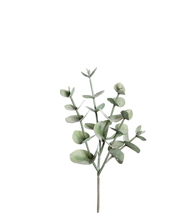 9566-91 - Eucalyptus 24 cm