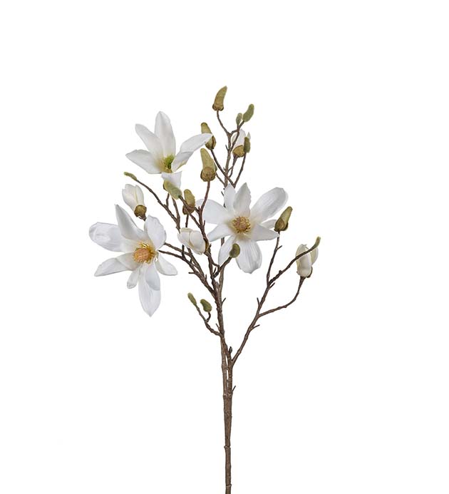 9650-10 - Magnolia 115 cm