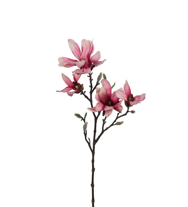 9665-20 - Magnolia 50 cm