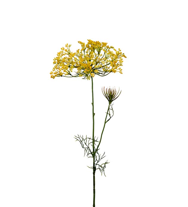 9671-50 - Allium 70 cm