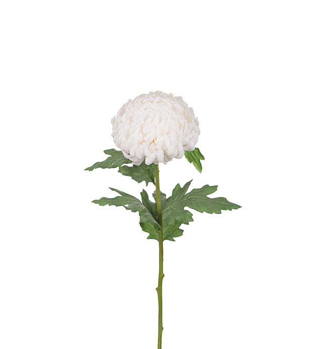 9813-10 - Chrysanthemum 70 cm