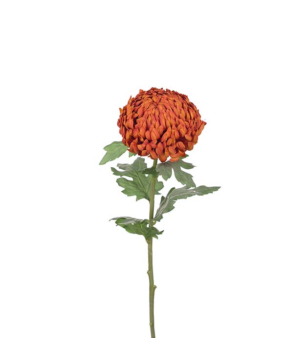 9813-35 - Chrysanthemum 70 cm